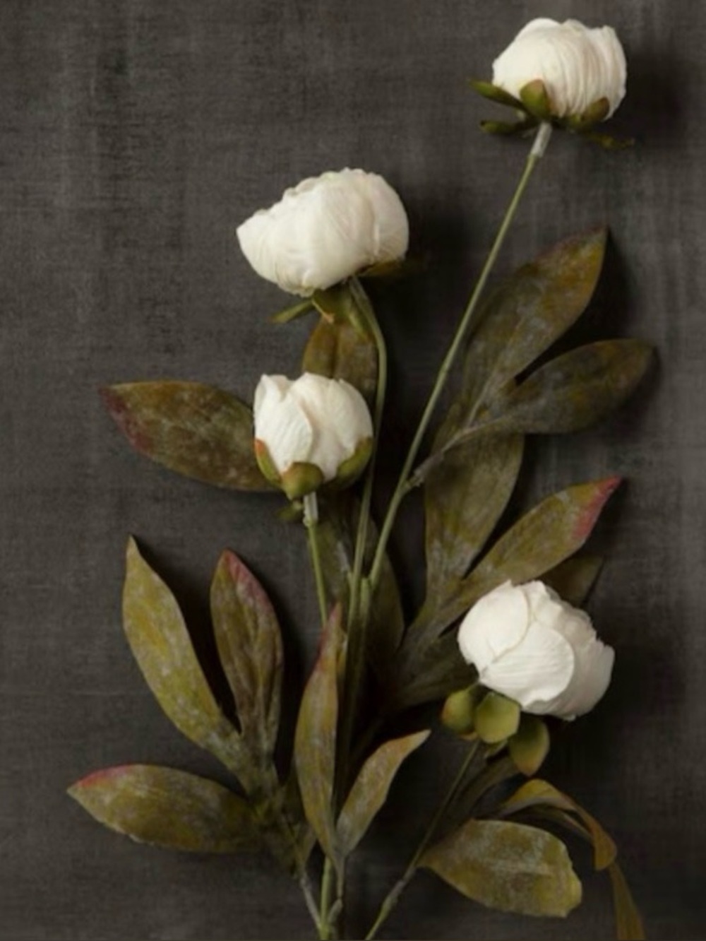 Set of TWO Michael’s Viral Peony Stems in Cream by Ashland